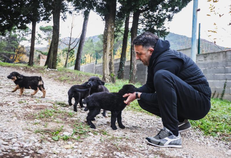 Zalutali u Vodovod: Pet psića traži svoj dom